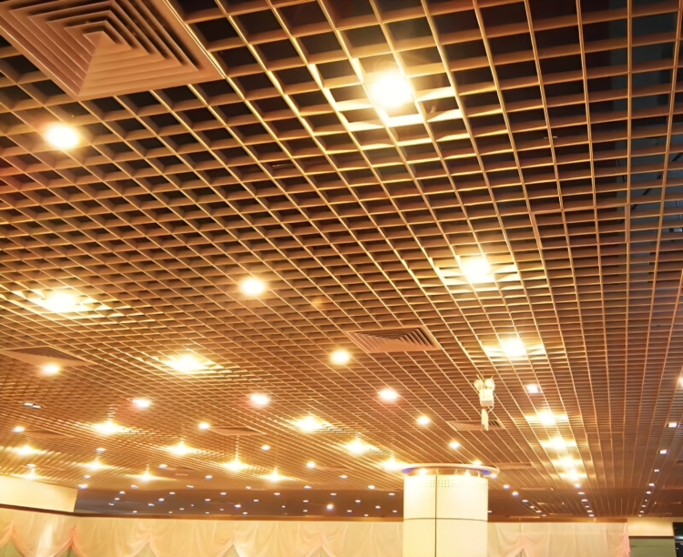 whatsapp image 2025 11 22 at 19.55.03 (2)